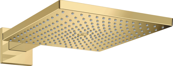 HANSGROHE RAINDANCE E TEPE DUSU 300 1JET DUS DIRSEGI ILE PARLAK ALTIN 26238990