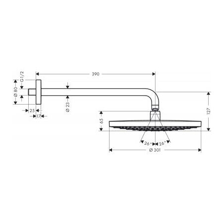 HANSGROHE RAINDANCE TEPE DUSU S TEPE DUSU 30 2 JET 27378400