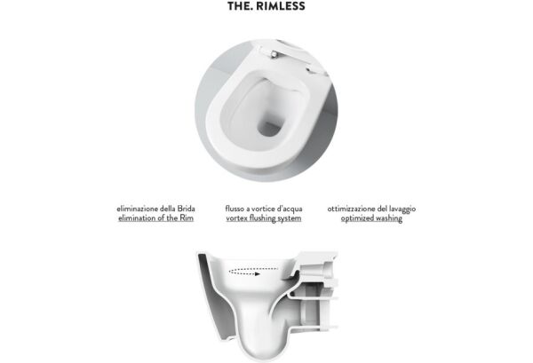 ARTCERAM FILE 2.0 ASMA KLOZET RIMLESS MAT SIYAH FLV004