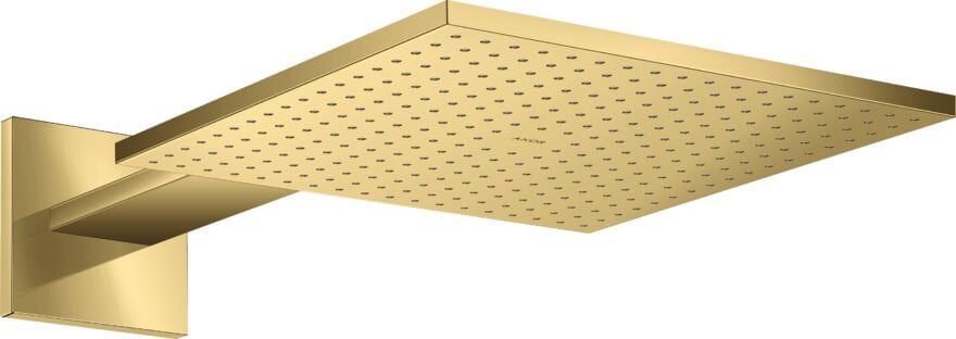 AXOR SHOWERSOLUTION TEPE DUSU 300*300 2 JET DUS DIRSEGI ILE 35318990