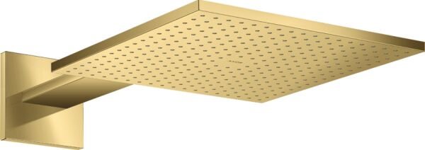 AXOR SHOWERSOLUTION TEPE DUSU 300*300 2 JET DUS DIRSEGI ILE 35318990