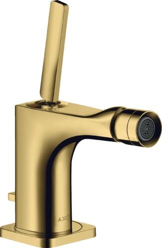 AXOR CITTERIO E TEK KOLLU BIDE BATARYASI OPTIK ALTIN 36120990
